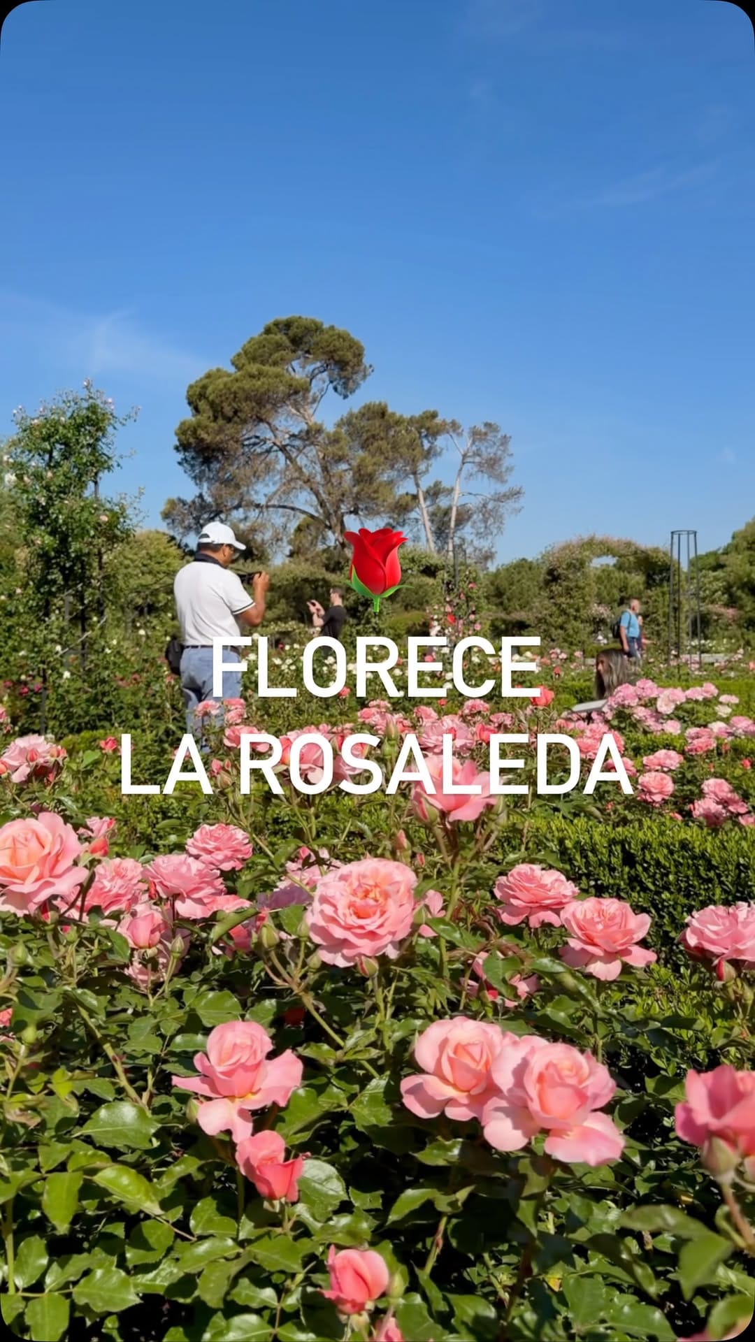 Post 9 by Parque del Retiro on Instagram (video)
