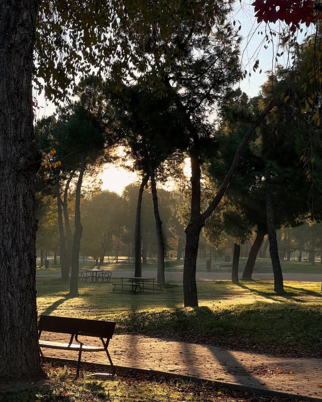 Post 5 by Iryna Borovyk on Instagram (image)