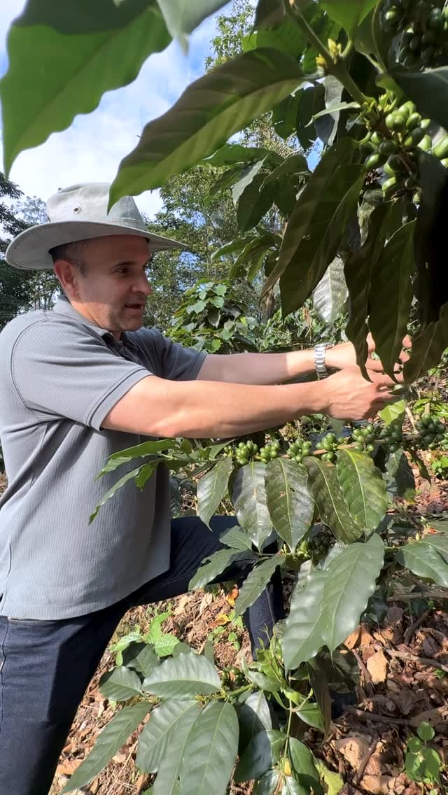 Post 5 by Boconó Specialty Coffee on Instagram (video)