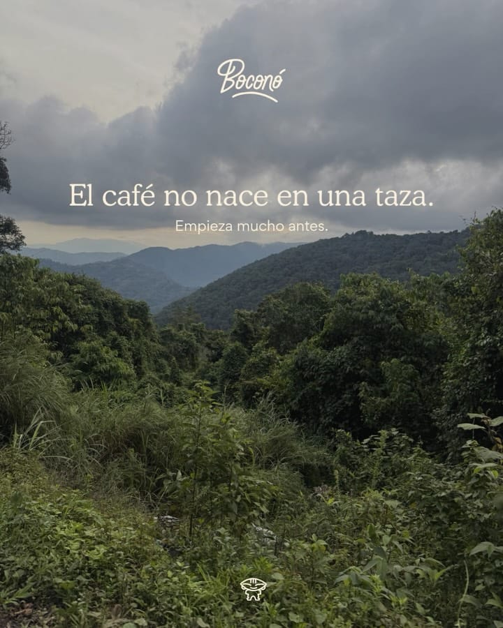 Post 4 by Boconó Specialty Coffee on Instagram (carousel)