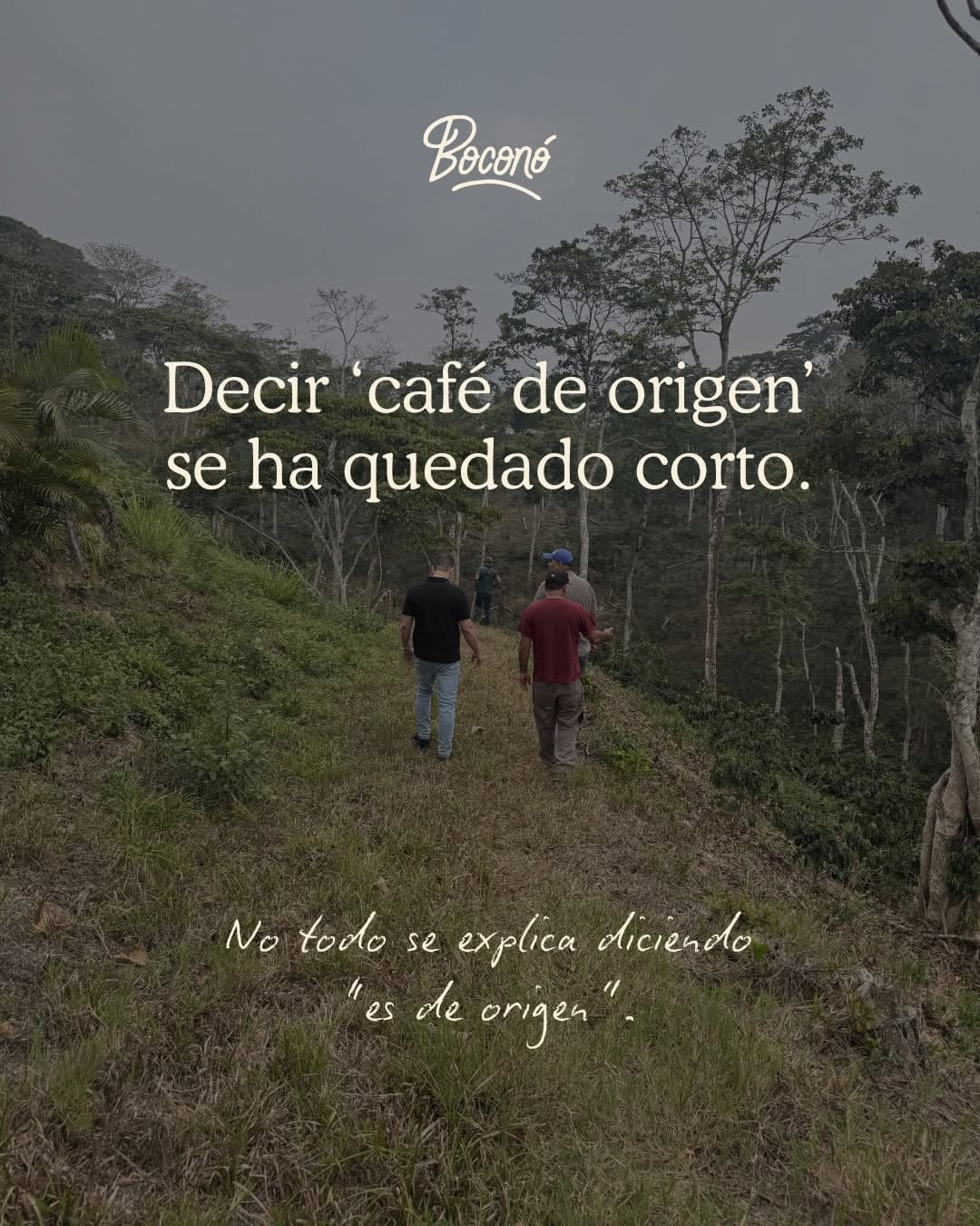 Post 2 by Boconó Specialty Coffee on Instagram (carousel)