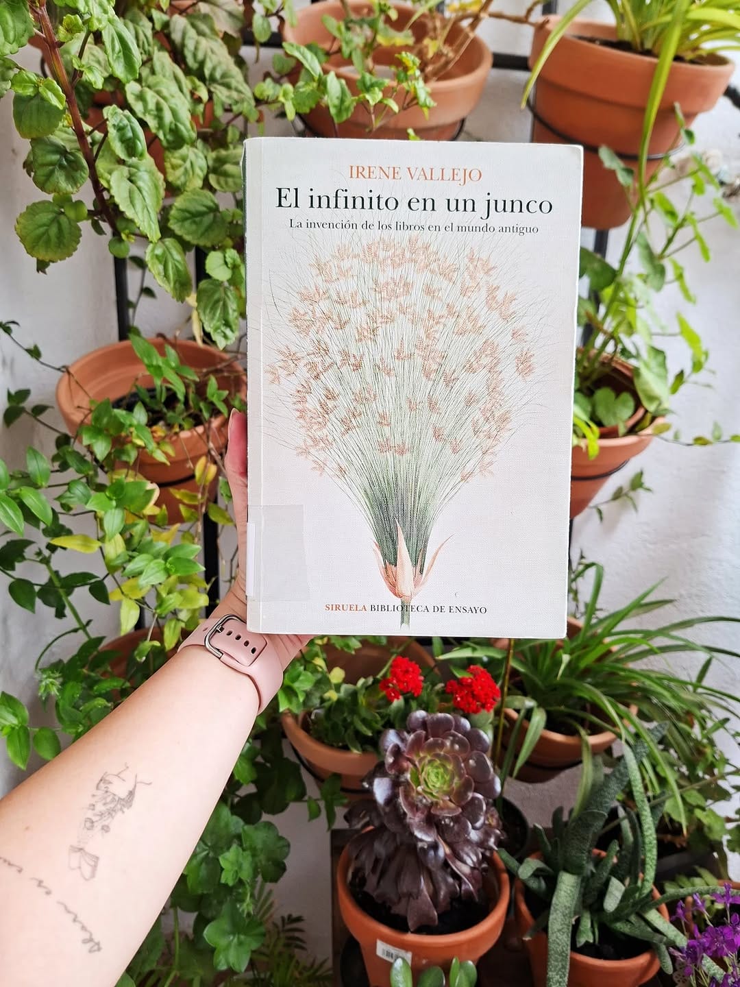 Post 8 by María José Parejo on Instagram (image)