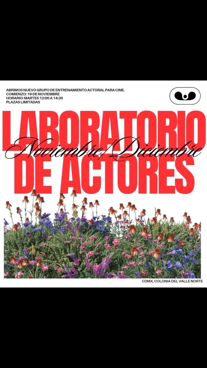 Post 8 by Laboratorio de Actores on Instagram (video)