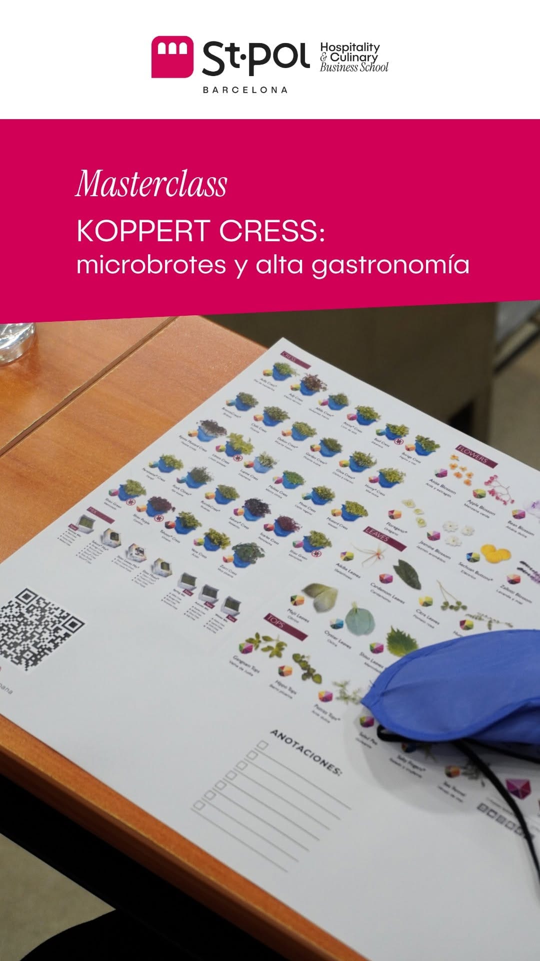 Post 4 by Sant Pol Hospitality & Culinary Business School - Barcelona on Instagram (video)