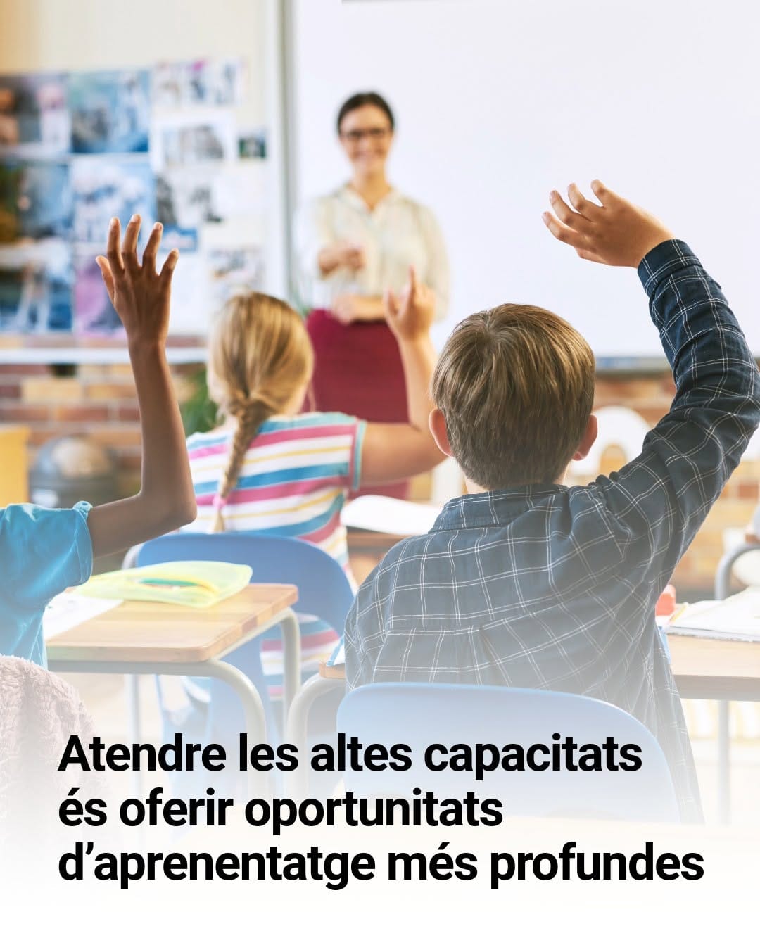 Post 1 by Educació UB on Instagram (image)