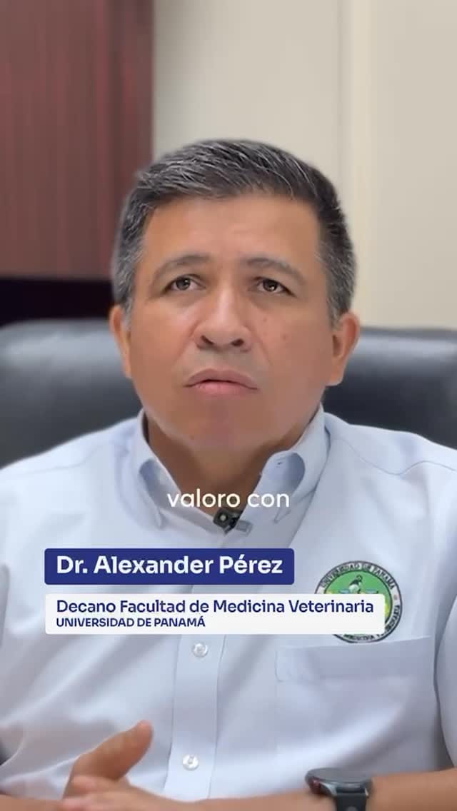 Post 9 by FacultadMedicinaVeterinariaUP on Instagram (video)