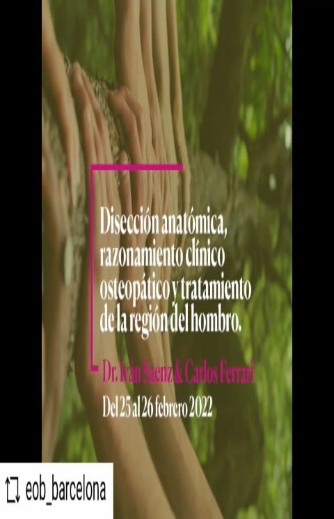 Post 6 by Dr. Iván Sáenz Navarro on Instagram (video)