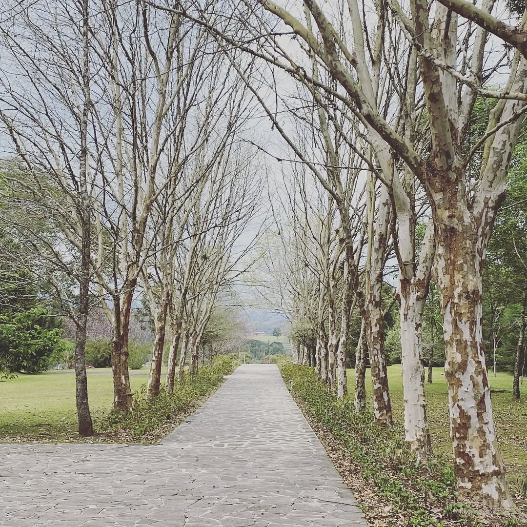Post 10 by Fábio Toledo on Instagram (image)