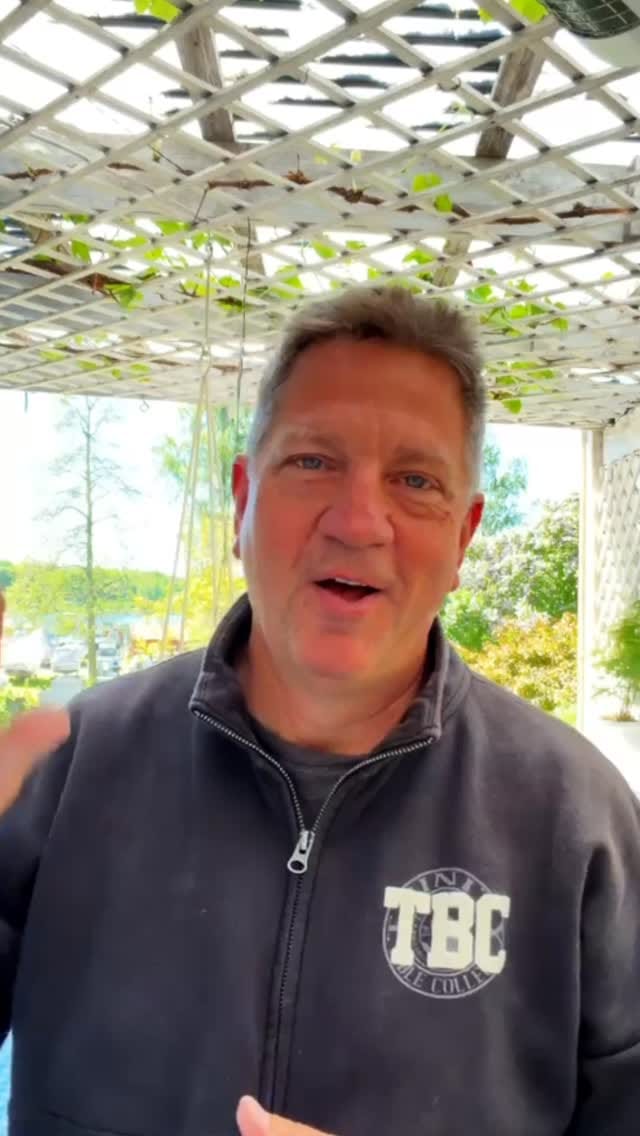 Post 6 by ONTHEREDBOX on Instagram (video)