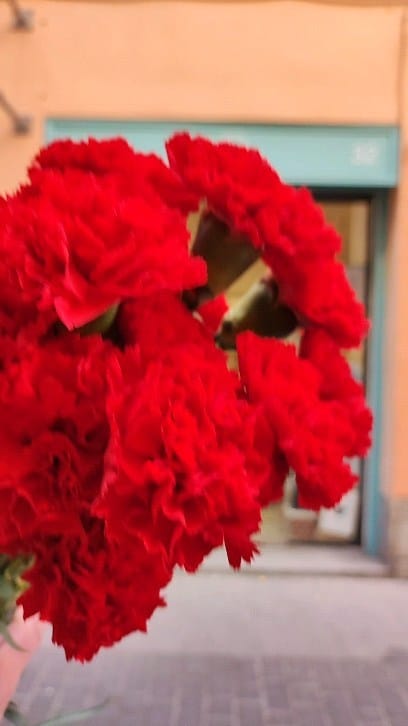 Post 10 by Clases de costura • Patronaje • Merceria • Cursos creativos on Instagram (video)