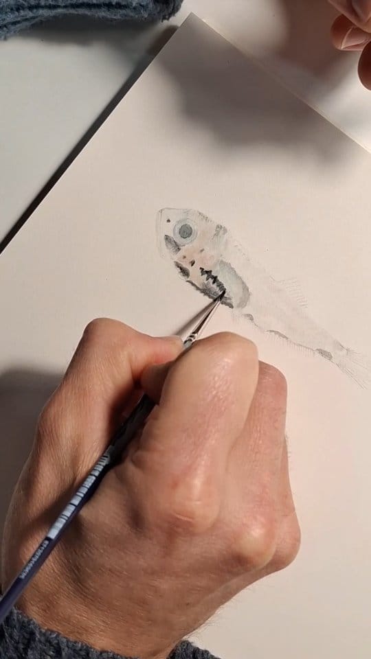 Post 1 by ILLUSTRACIENCIA on Instagram (video)