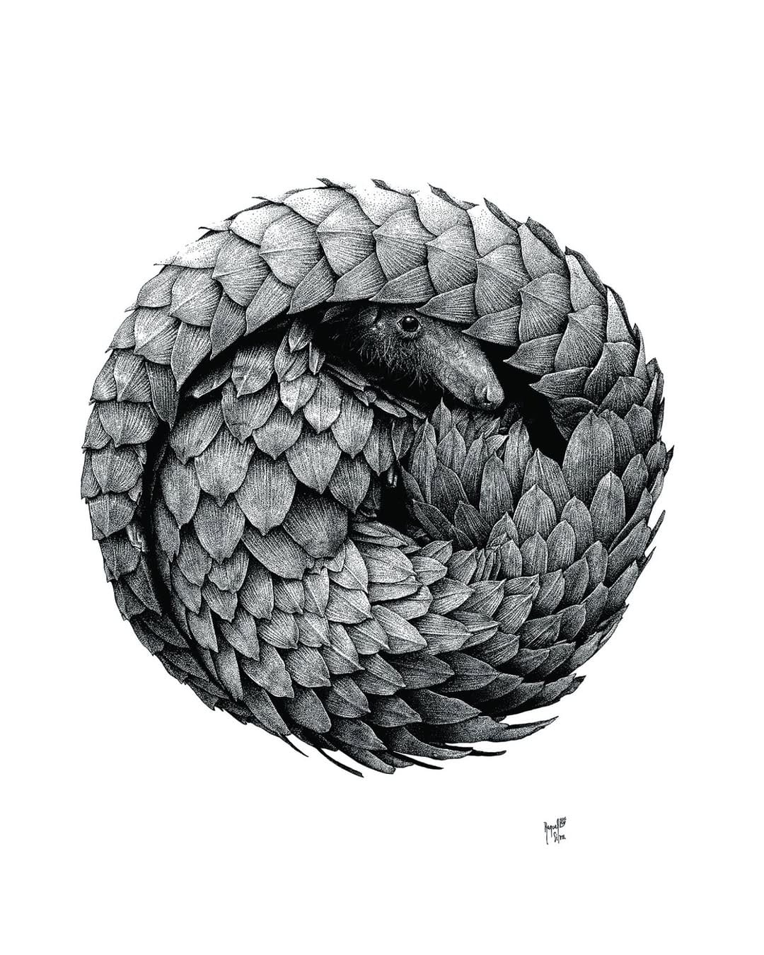 Post 4 by ILLUSTRACIENCIA on Instagram (carousel)