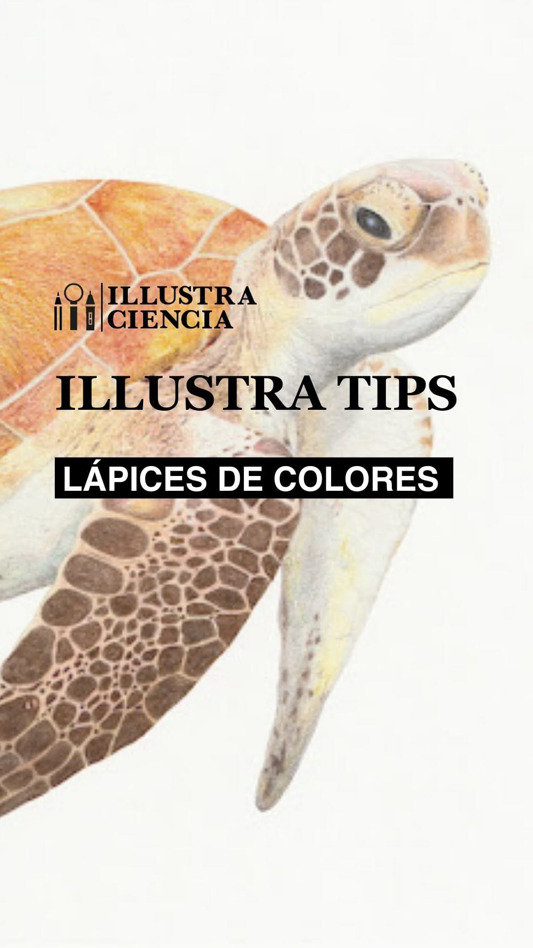Post 9 by ILLUSTRACIENCIA on Instagram (video)