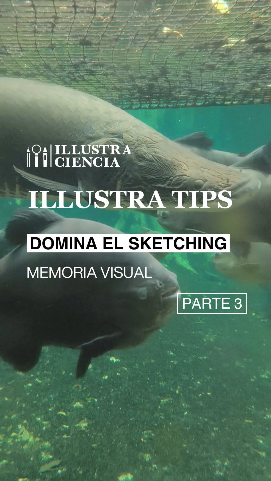 Post 10 by ILLUSTRACIENCIA on Instagram (video)