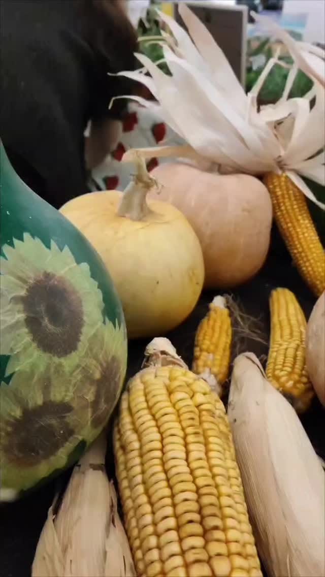 Post 2 by Elena Mancera | Ambientóloga y educadora ambiental on Instagram (video)