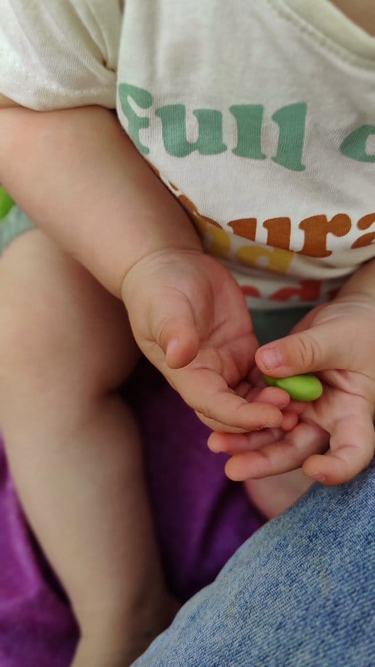 Post 8 by Elena Mancera | Ambientóloga y educadora ambiental on Instagram (video)