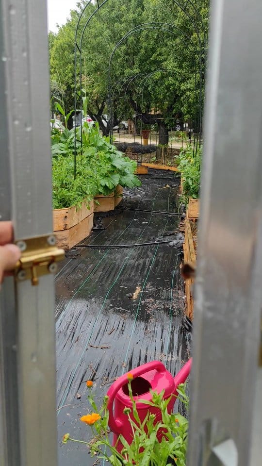 Post 6 by Elena Mancera | Ambientóloga y educadora ambiental on Instagram (video)