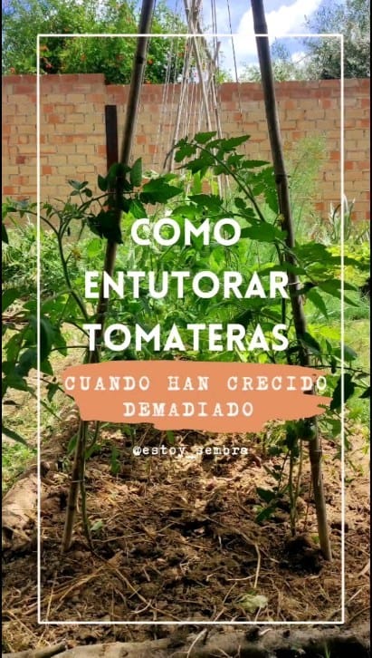 Post 10 by Elena Mancera | Ambientóloga y educadora ambiental on Instagram (video)