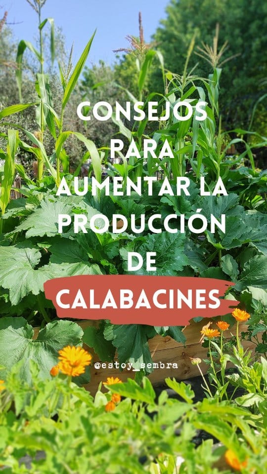 Post 7 by Elena Mancera | Ambientóloga y educadora ambiental on Instagram (video)
