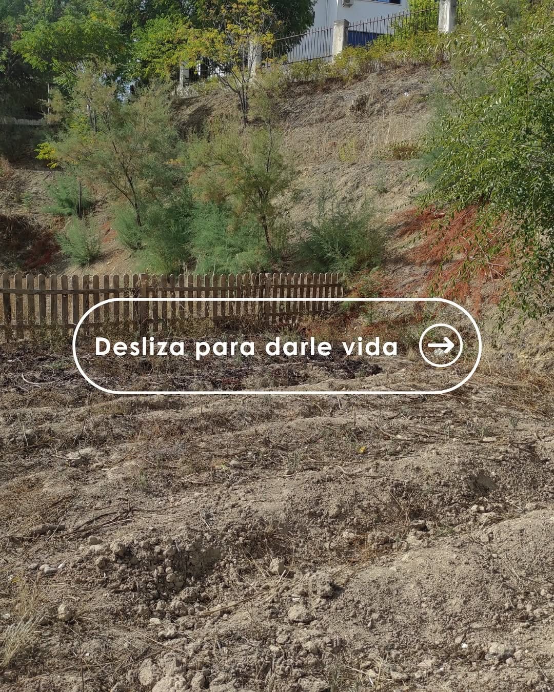 Post 1 by Elena Mancera | Ambientóloga y educadora ambiental on Instagram (carousel)