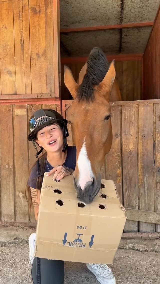 Post 3 by Club Hípico Tramontana on Instagram (video)