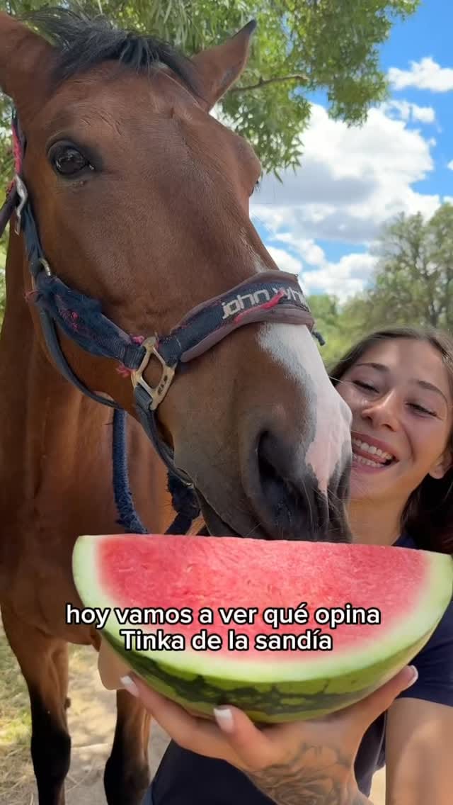 Post 5 by Club Hípico Tramontana on Instagram (video)