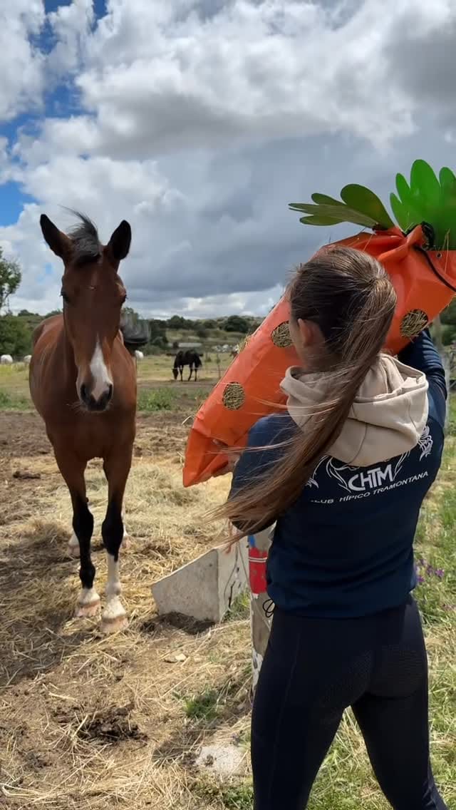 Post 6 by Club Hípico Tramontana on Instagram (video)