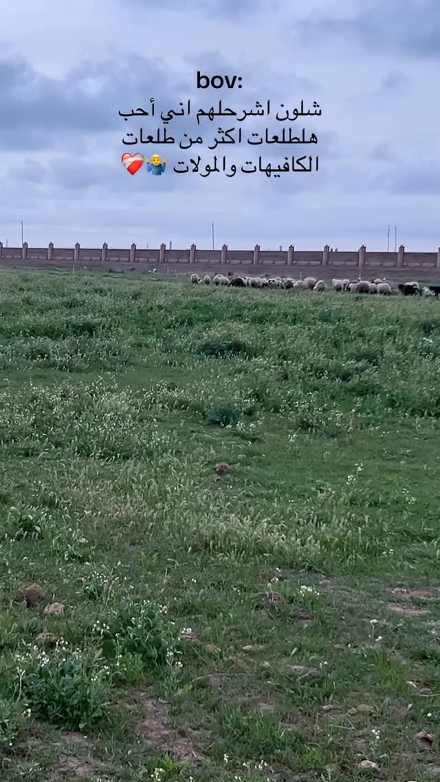 Post 7 by 𝙖𝙝𝙢𝙚𝙙 𝙖𝙡-𝙢𝙖𝙟𝙞𝙙𝙞 || أحمد الماجدي on Instagram (video)