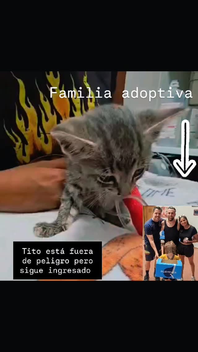 Post 4 by Antonio Triviño Pardo on Instagram (video)