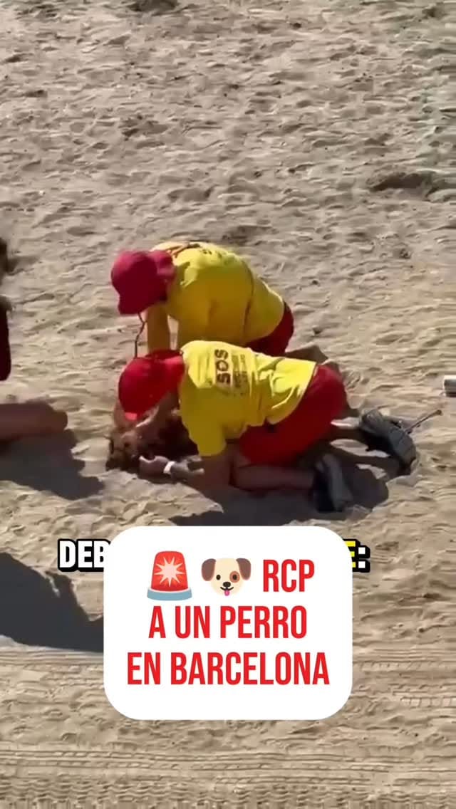 Post 3 by Antonio Triviño Pardo on Instagram (video)