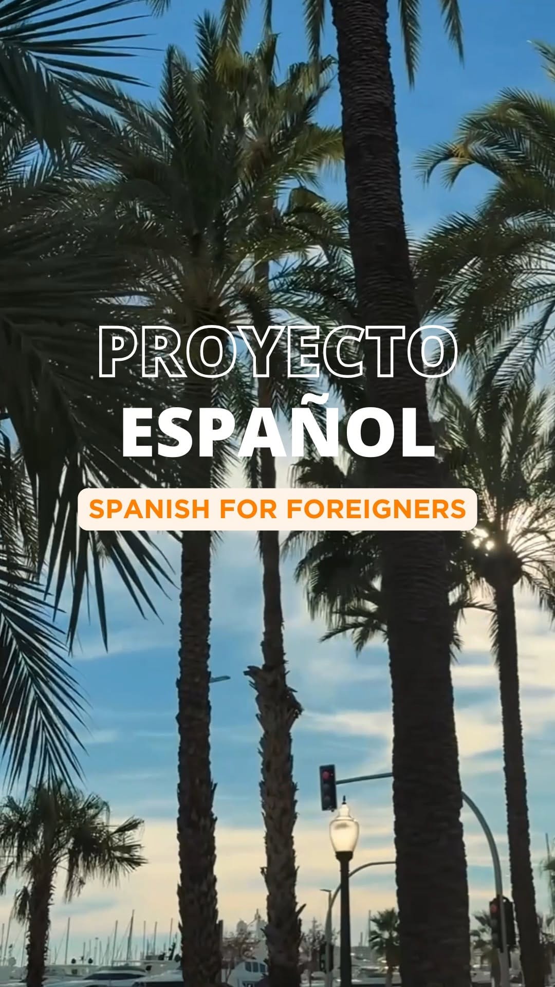 Post 8 by PROYECTO ESPAÑOL SpanishSchool on Instagram (video)