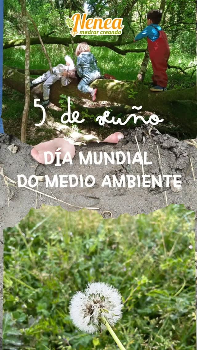 Post 1 by Nenea, medrar creando on Instagram (video)