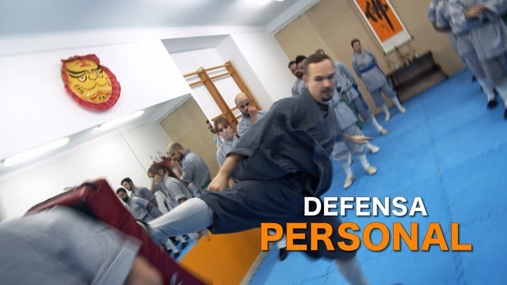 Post 10 by Shaolin Cultural Center ES | Escuela de kung fu on Instagram (video)