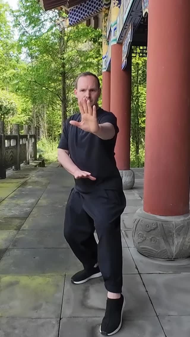 Post 6 by Shaolin Cultural Center ES | Escuela de kung fu on Instagram (video)