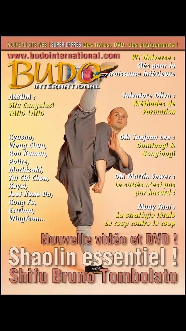 Post 2 by Shaolin Cultural Center ES | Escuela de kung fu on Instagram (video)
