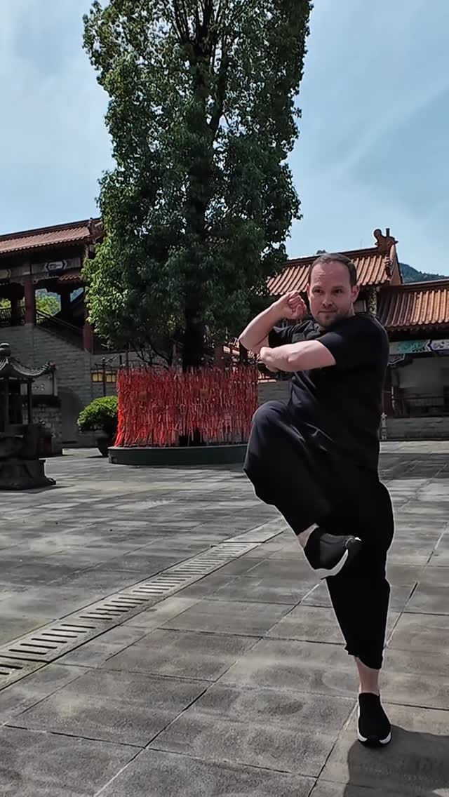 Post 5 by Shaolin Cultural Center ES | Escuela de kung fu on Instagram (video)