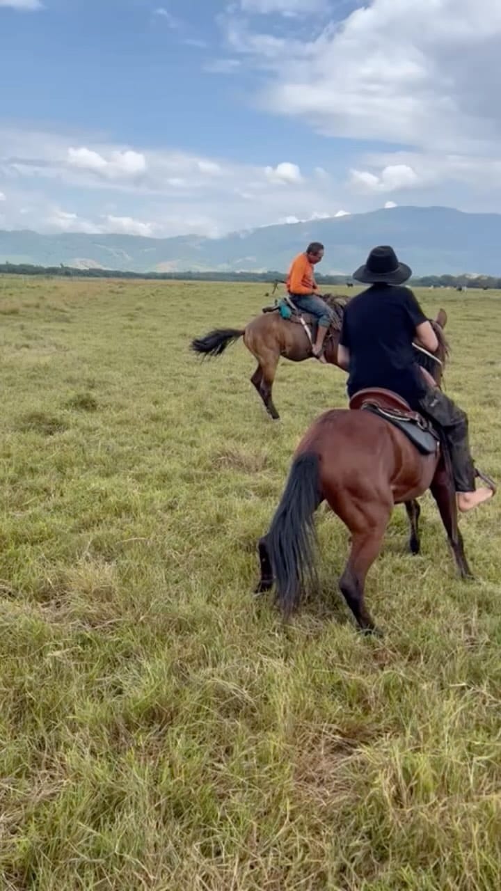 Post 10 by Yofre Brito Rivera on Instagram (video)