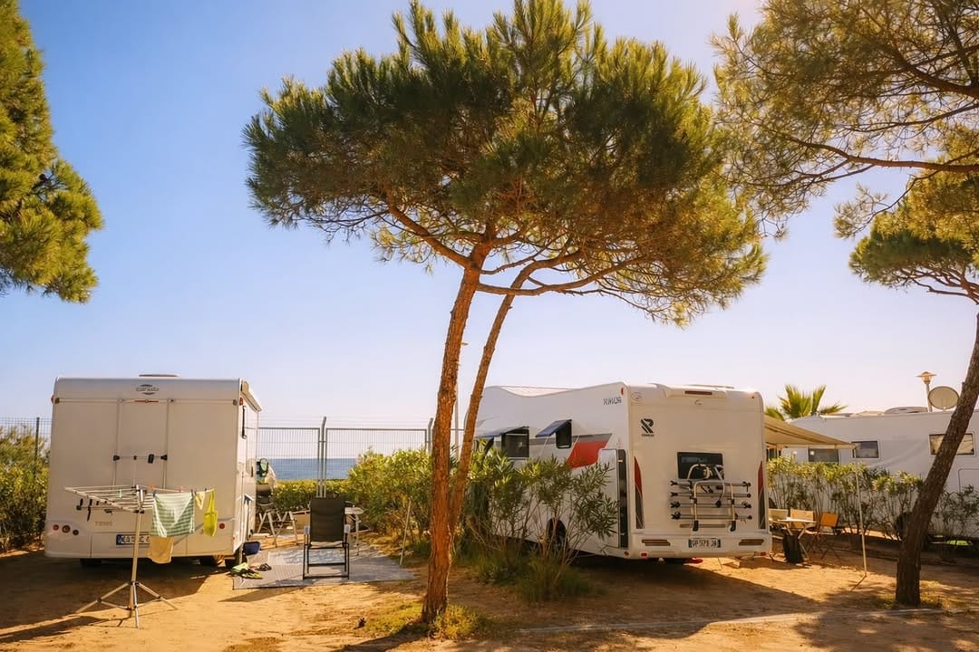 Post 6 by CAMPING BELLA TERRA on Instagram (image)