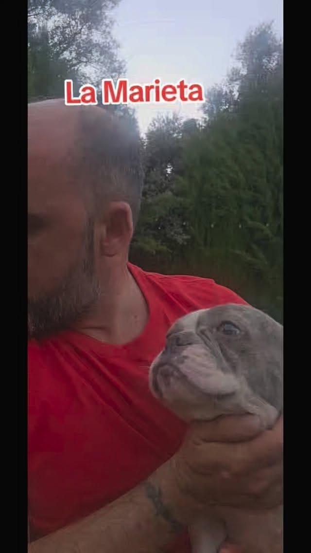 Post 6 by Refugio Orejotas on Instagram (video)