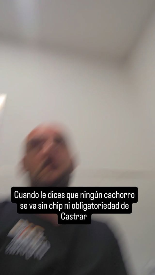 Post 5 by Refugio Orejotas on Instagram (video)