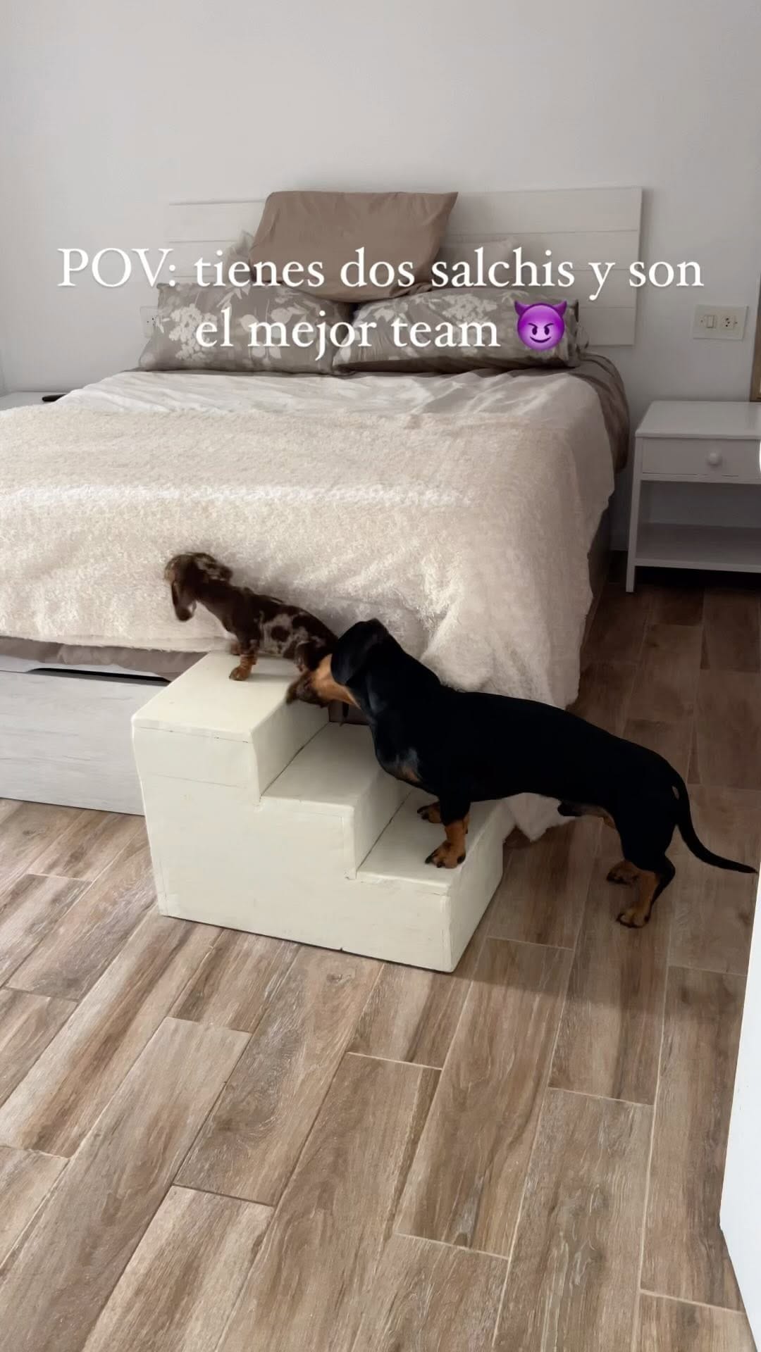 Post 8 by 𝐕𝐚𝐥𝐞𝐧𝐭𝐢́𝐧 𝐲 𝐏𝐥𝐚́𝐭𝐚𝐧𝐨 ❤️‍🔥 | 𝑇𝑒𝑐𝑘𝑒𝑙 on Instagram (video)