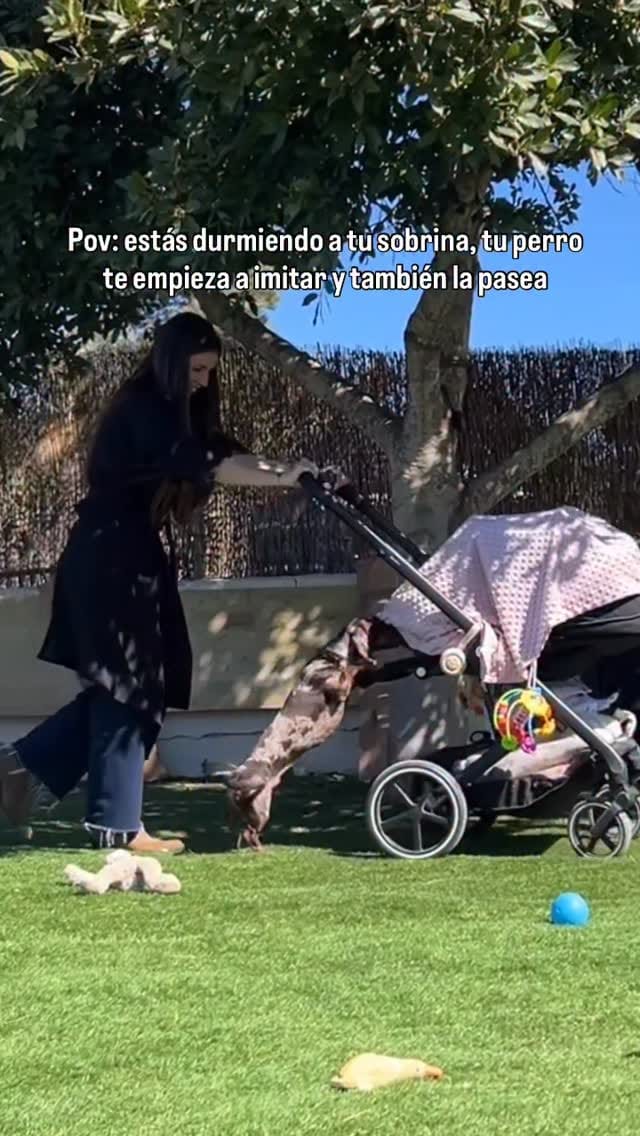 Post 4 by 𝐕𝐚𝐥𝐞𝐧𝐭𝐢́𝐧 𝐲 𝐏𝐥𝐚́𝐭𝐚𝐧𝐨 ❤️‍🔥 | 𝑇𝑒𝑐𝑘𝑒𝑙 on Instagram (video)