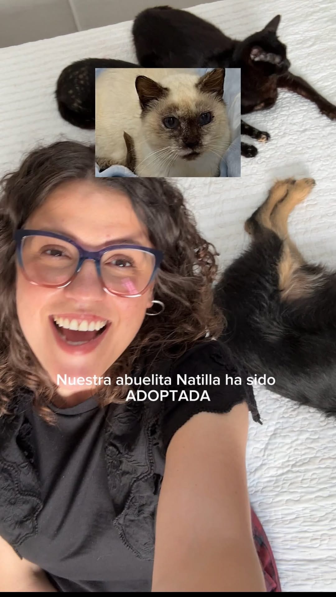 Post 6 by Kanita Mukanovic on Instagram (video)