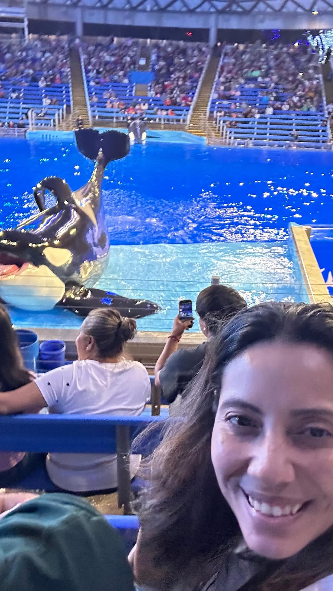Post 7 by Lupe Palma de Ferrer on Instagram (video)