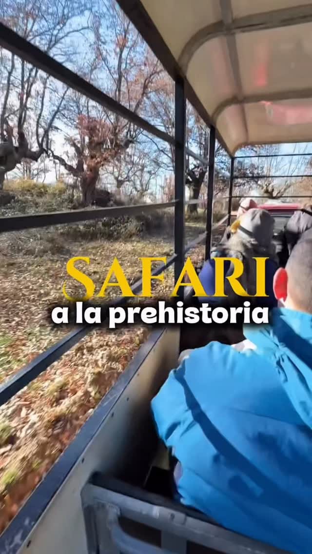 Post 7 by 🅲🅰🅼🅿🅴🆁&🅻🅾🆅🅴 on Instagram (video)