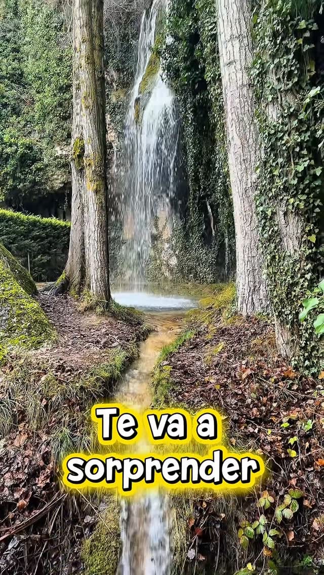 Post 4 by 🅲🅰🅼🅿🅴🆁&🅻🅾🆅🅴 on Instagram (video)