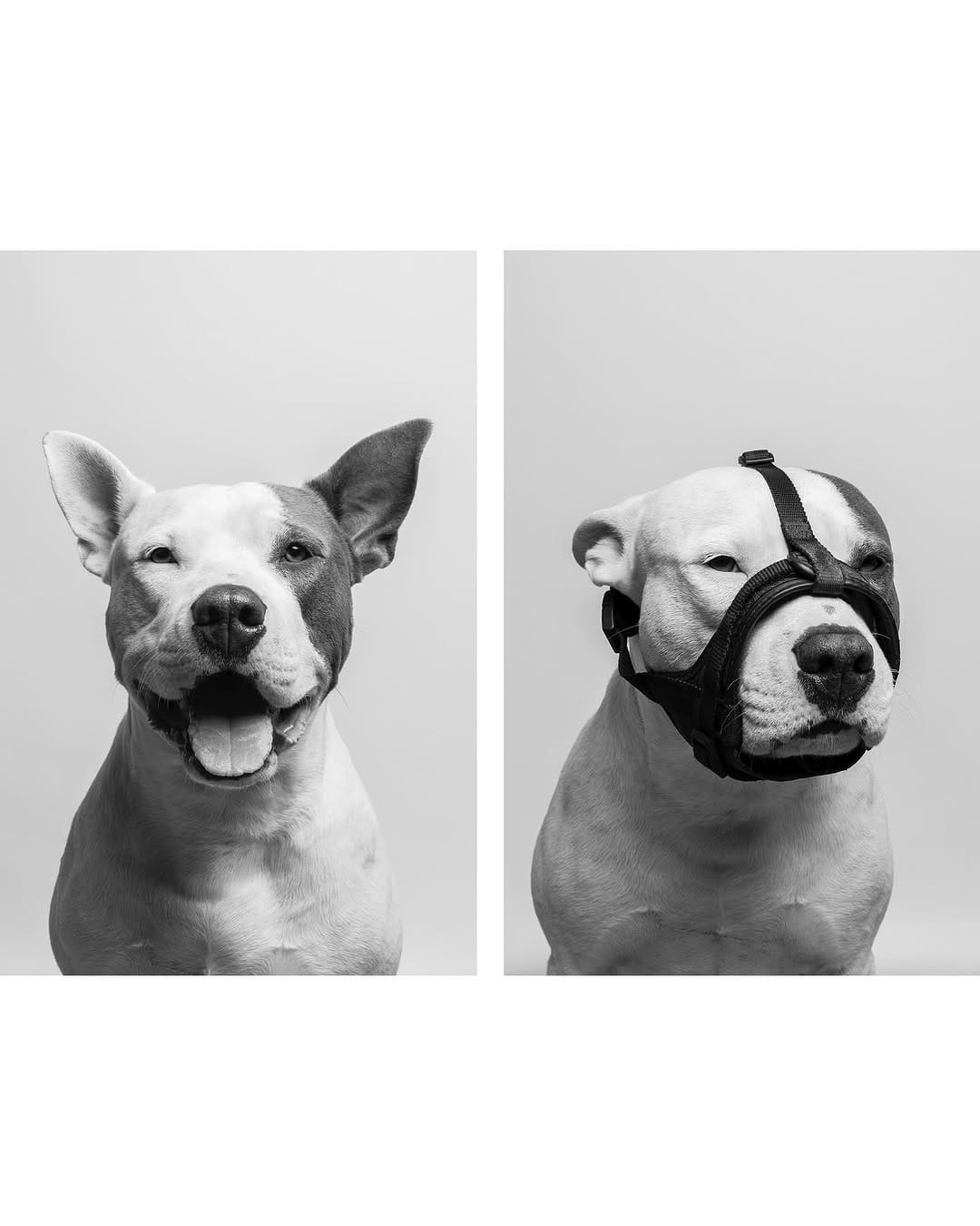 Post 10 by Carlina Gea | Fotografía Muy Animal on Instagram (carousel)