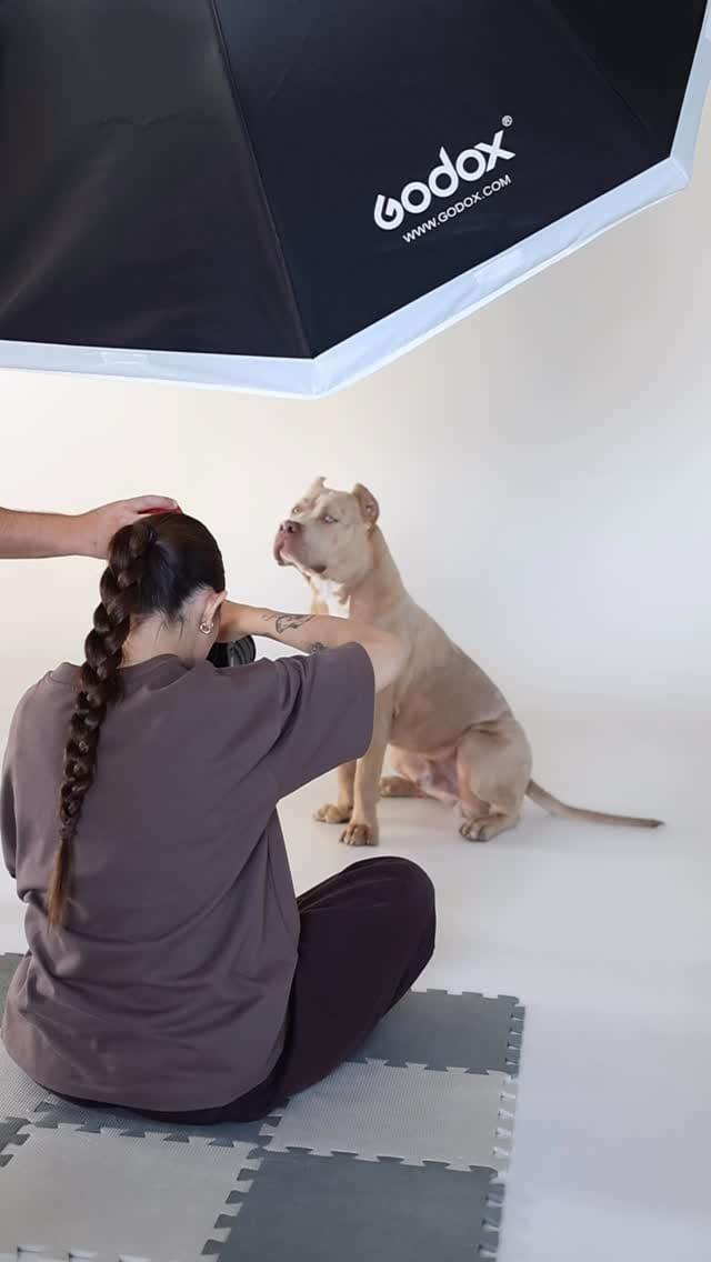 Post 5 by Carlina Gea | Fotografía Muy Animal on Instagram (video)