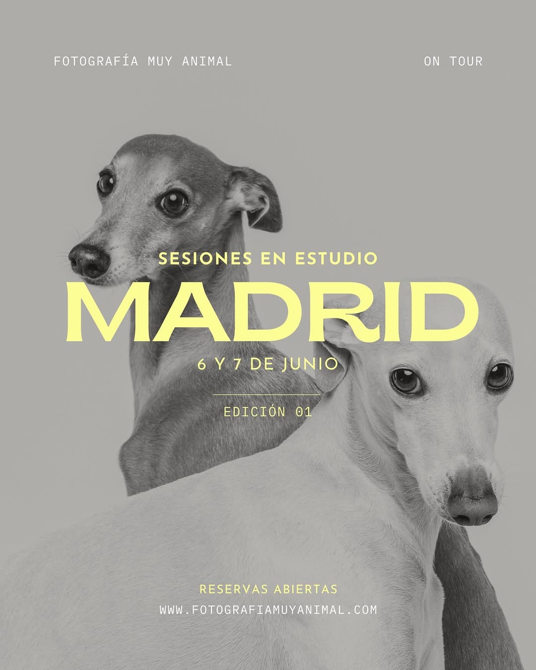Post 6 by Carlina Gea | Fotografía Muy Animal on Instagram (carousel)