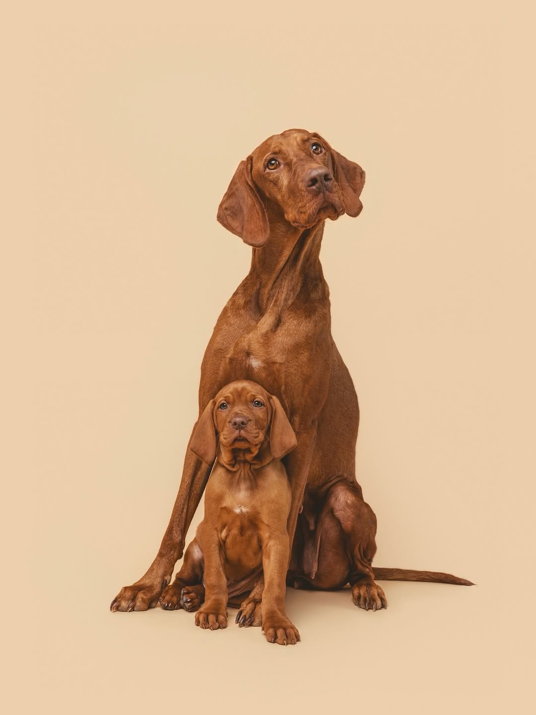 Post 7 by Carlina Gea | Fotografía Muy Animal on Instagram (image)